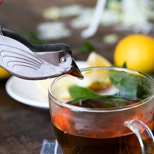 カジュアルプロダクト バードレモンスクイザー レモン絞り キッチン