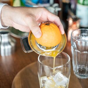 カジュアルプロダクト バールレモンスクイザー レモン絞り バー