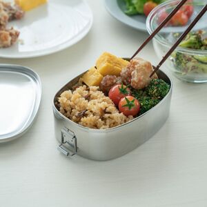 カジュアルプロダクト ゼブラオーバルランチボックス お弁当箱 ステンレス