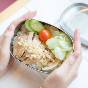 カジュアルプロダクト ゼブラオーバルランチボックス お弁当箱 ステンレス