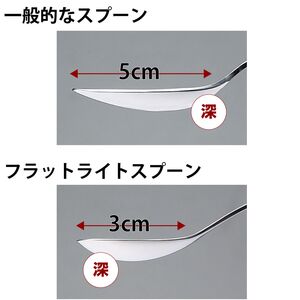ウィルアシスト フラットライトスプーンL 障がい者 使いやすい