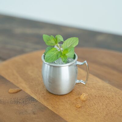 Moscow Mule Shot Cup SS 60ml